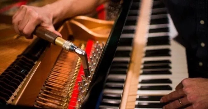 给钢琴调律真的那麽重要吗？